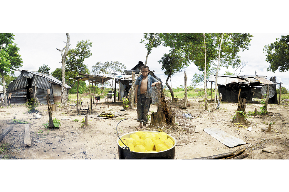 El amargo sabor del mango biche