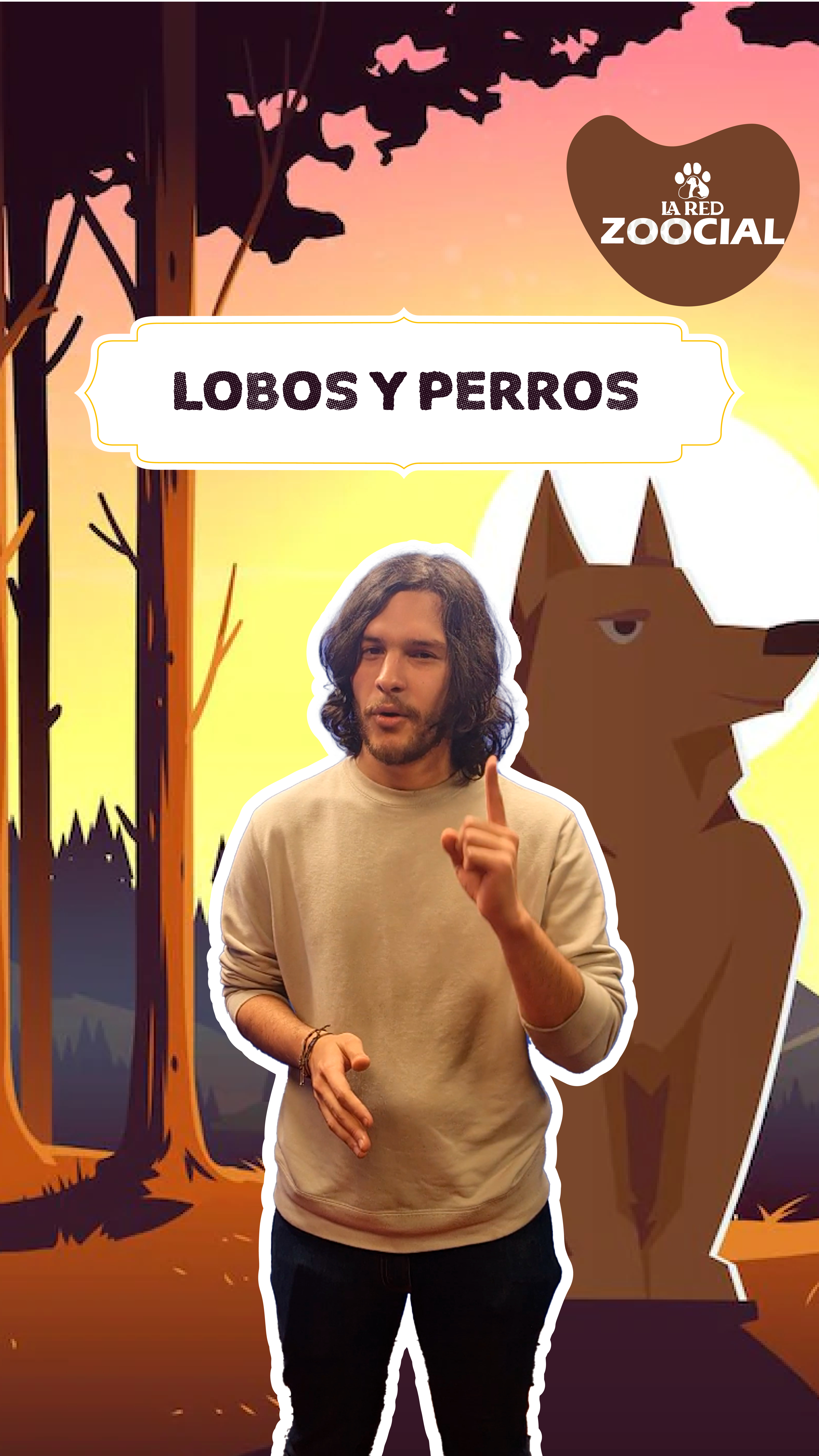 Cuatro diferencias entre los perros y los lobos que lo sorprenderán