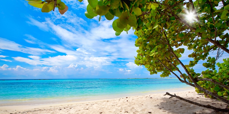 Las cinco playas más lindas de Aruba