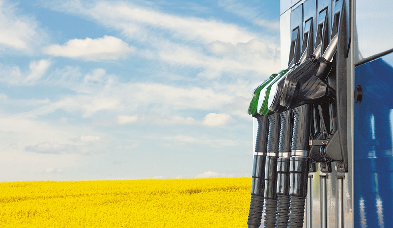 Los biocombustibles se han convertido en una gran oportunidad de inversión en el departamento de Bolívar. / iStock