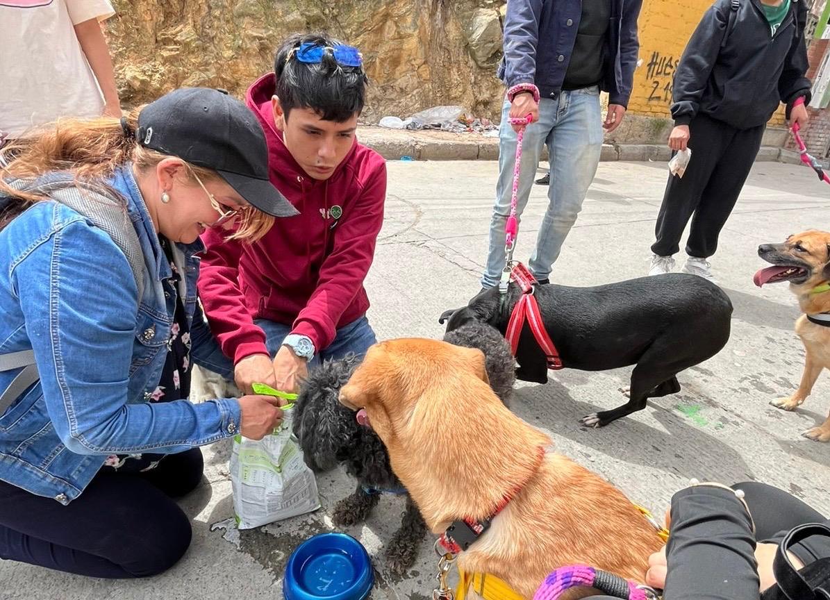 Abren inscripciones para voluntariado con animales que permite certificar servicio social