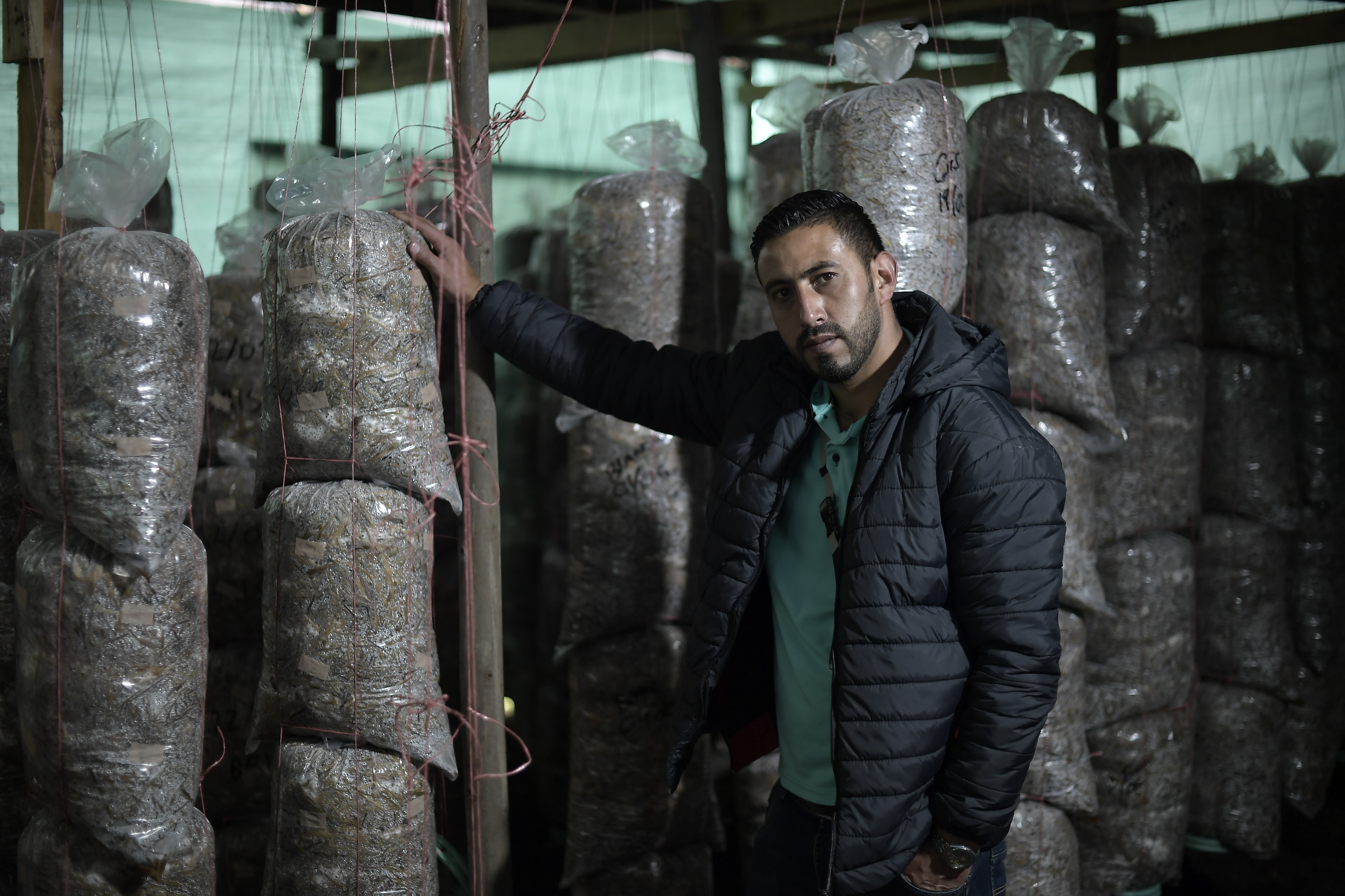 Orellanas cultivadas en Usme: Óscar y de cómo el mundo fungi “salvó” su vida
