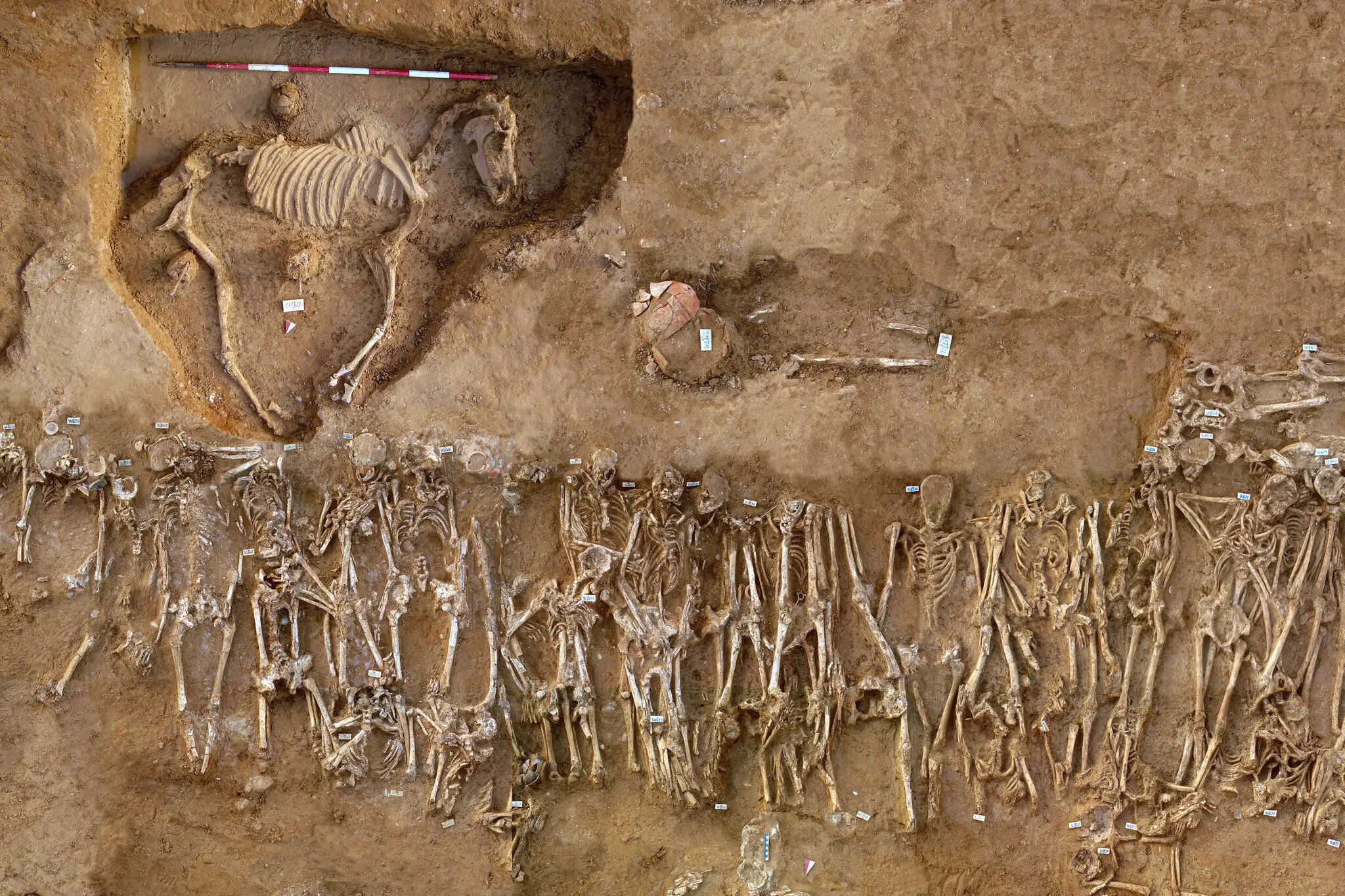 Lo que la ciencia descubrió sobre las batallas en la Antigua Grecia al analizar ADN