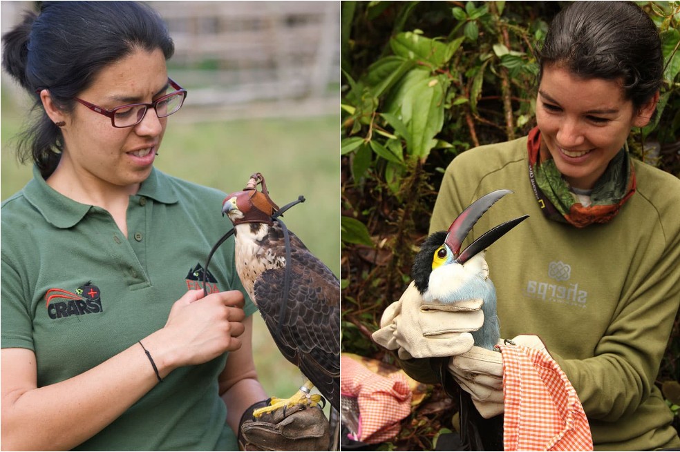 Colombia BirdFair