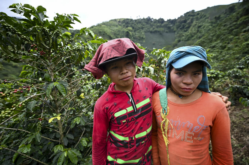 Indígenas trans en Colombia, una vida en fuga entre cafetales