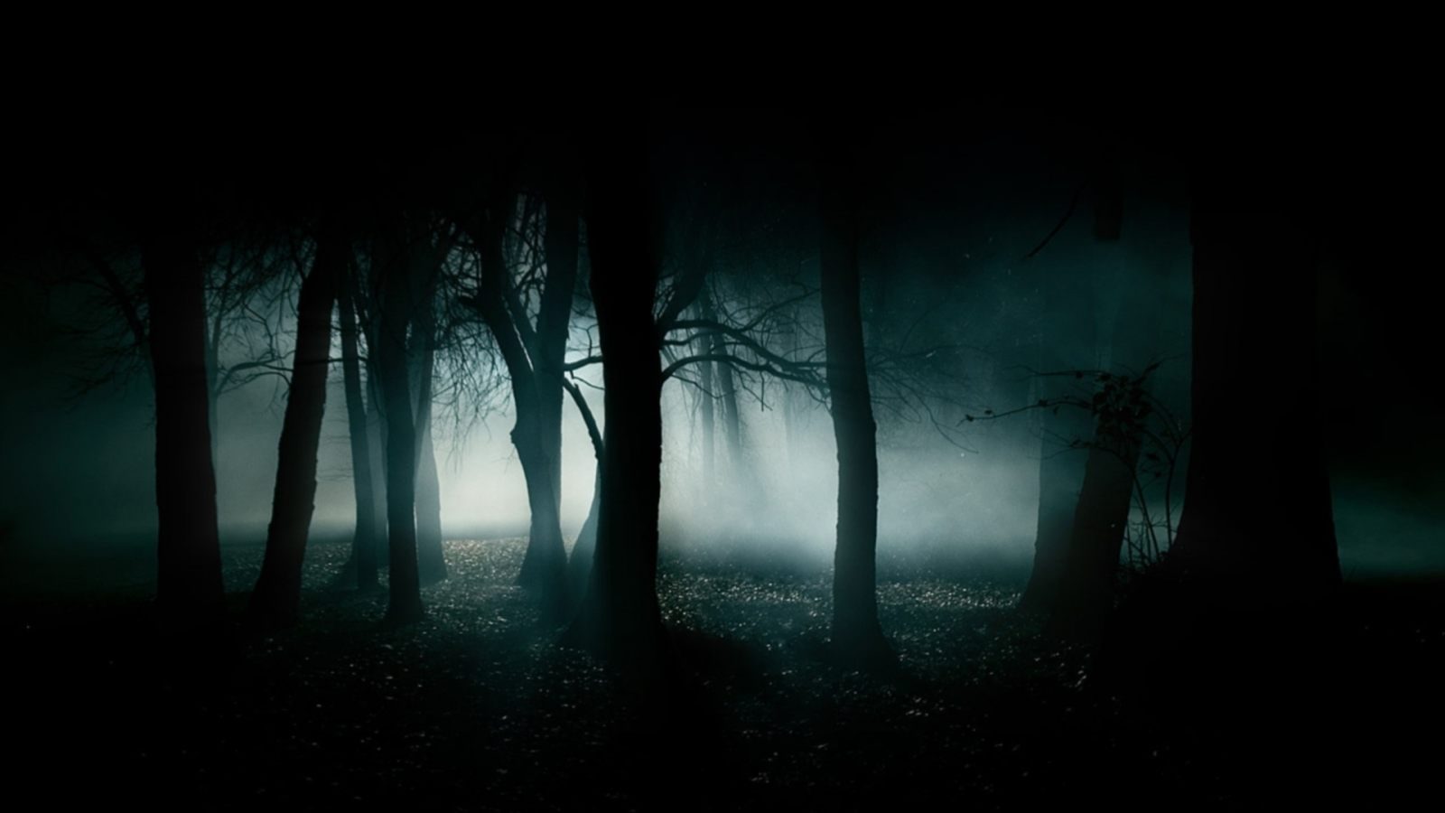 Fantasmas sobre cinta magnética (Cuentos de sábado en la tarde)
