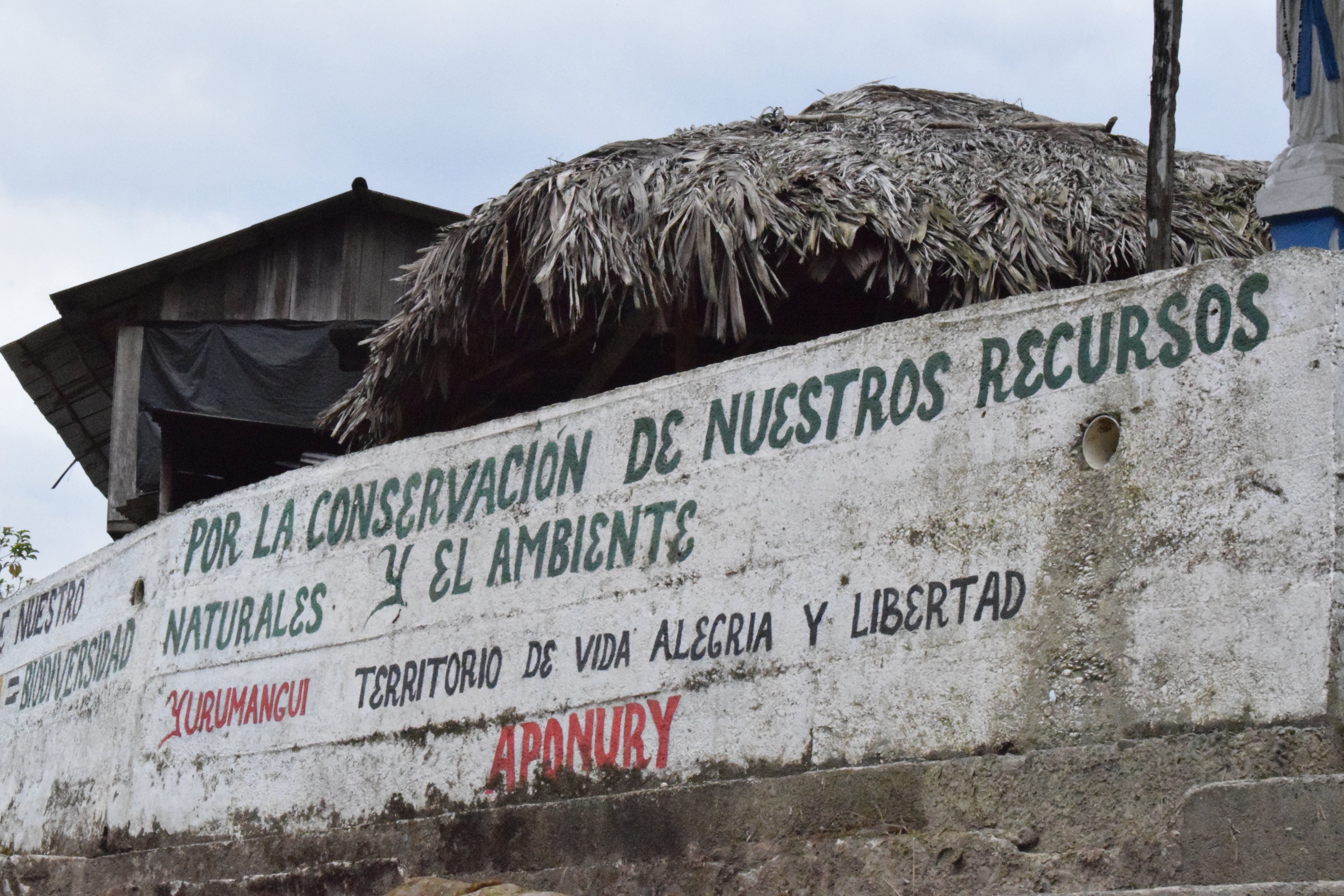 La forestería comunitaria en Yurumanguí da sus primeros frutos.