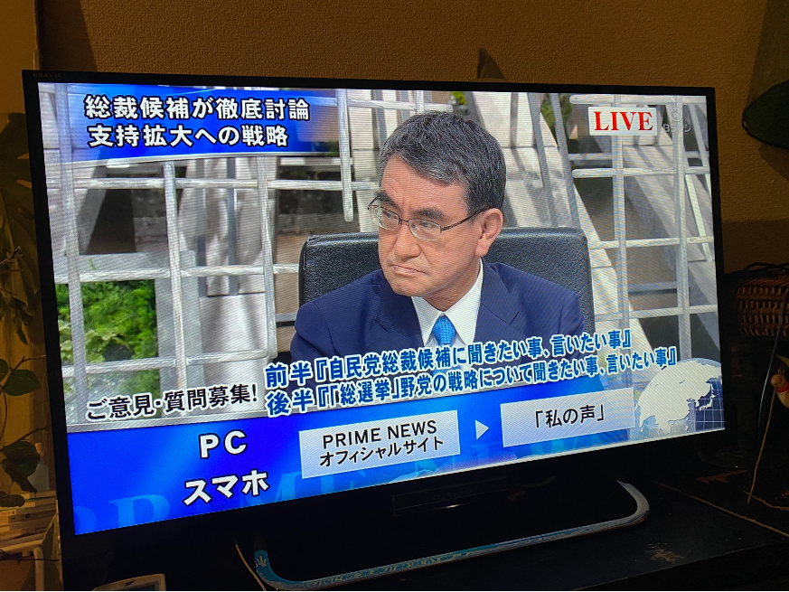 Torre de Tokio: política paralela