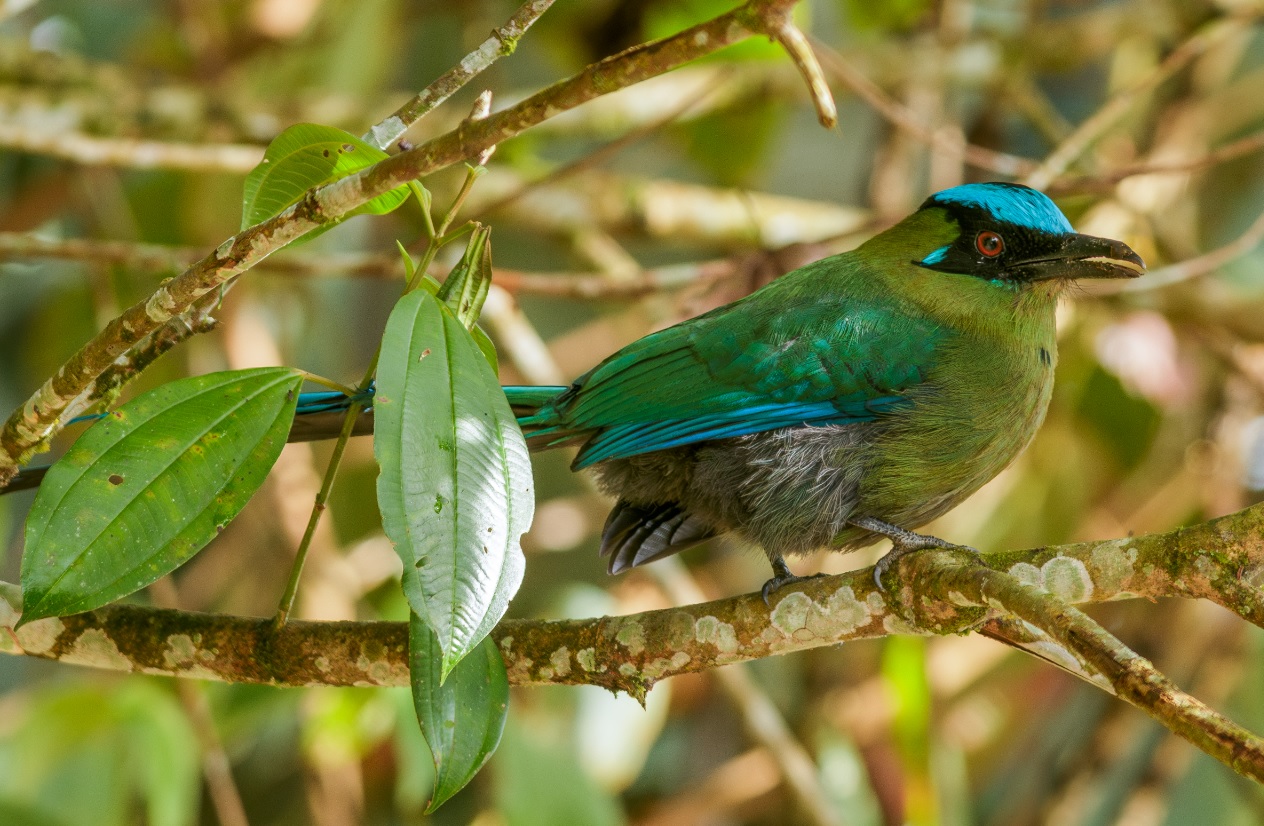 ¿Equidad en la COP16?