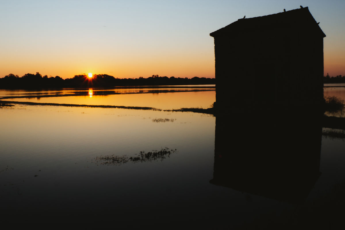 La Albufera, un paraje mágico en el Levante: extensos arrozales, numerosas aves, pequeñas casas y una inmensa laguna conforman este paraje protegido. Un plan ideal es conocer este lugar, a un paso de Valencia (España), a primera hora del día para disfrutar de los colores que otorgan a sus aguas y a sus cultivos los primeros rayos de luz.