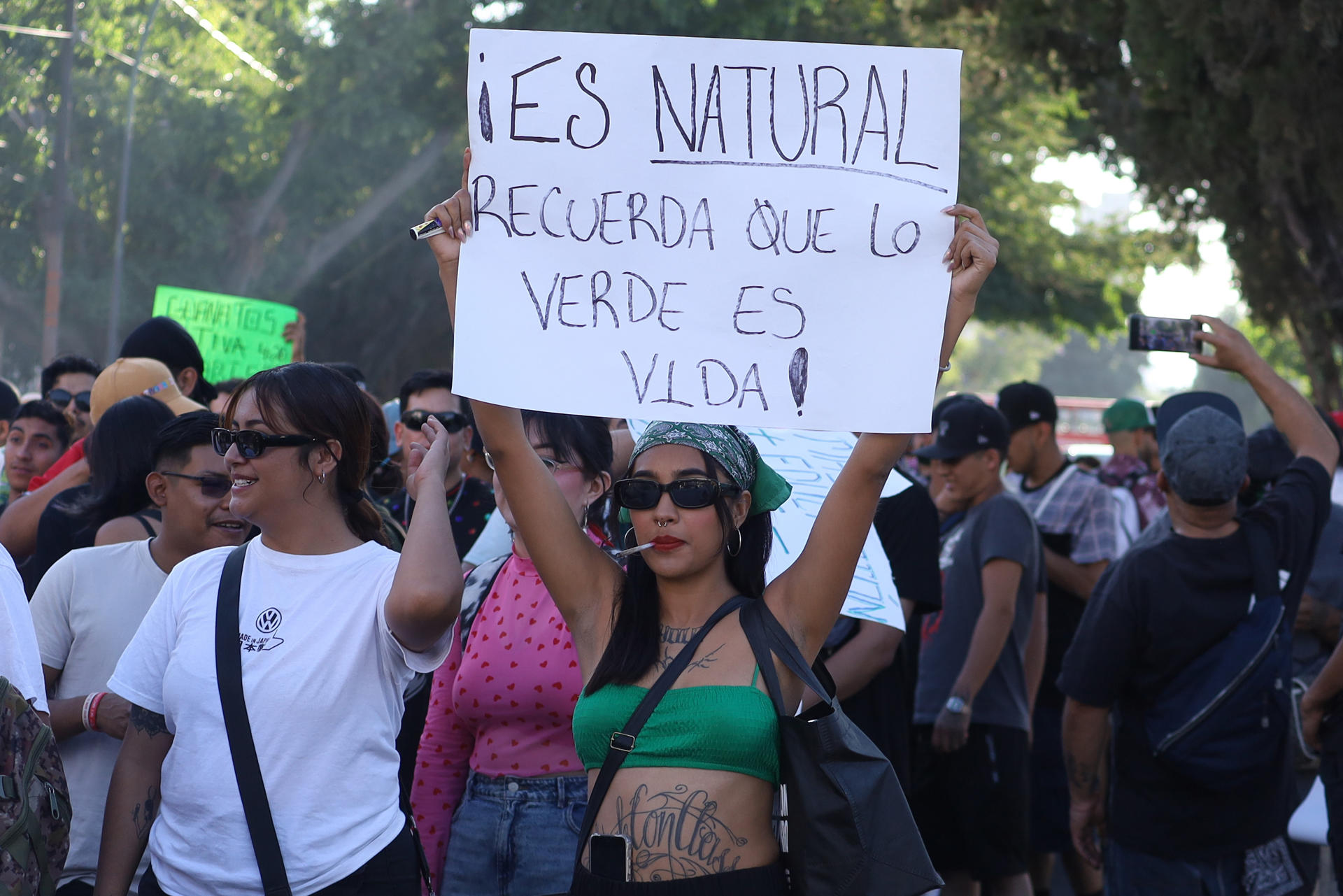 Nuevas zonas canábicas en ciudad de México