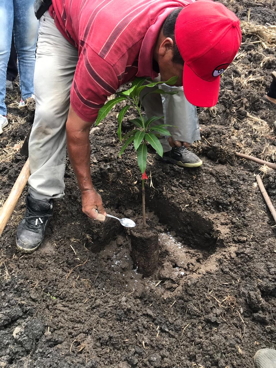 Proyectos productivos en Ríonegro/ Cortesía Gobernación de Cundinamarca