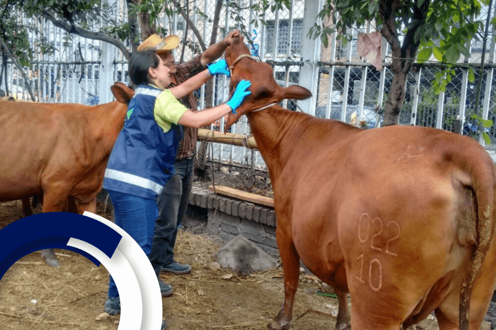 Agroexpo regresa con lo mejor del sector agrícola y pecuario