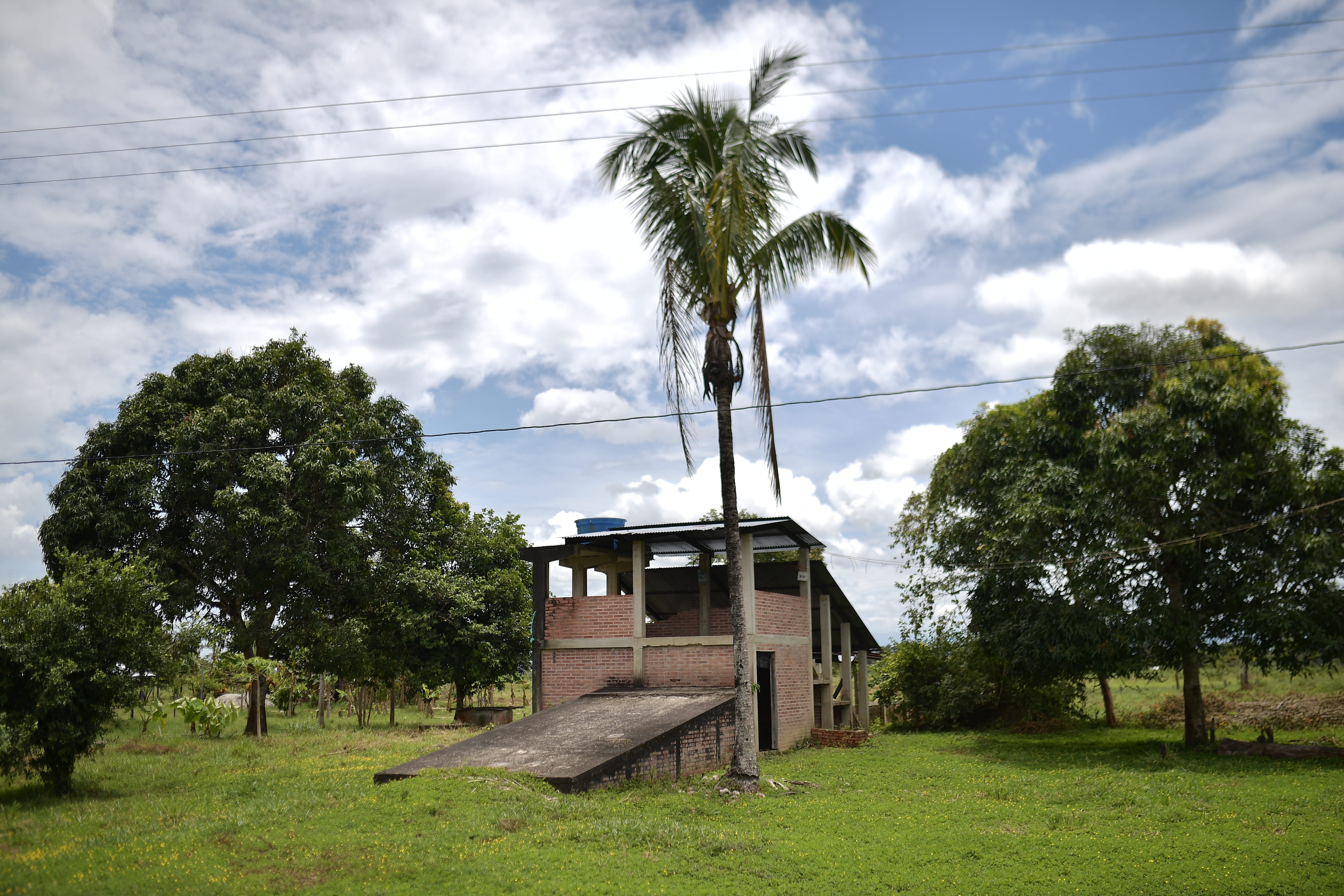 Bienes de las FARC: Fiscalía archiva investigación contra supuestos testaferros
