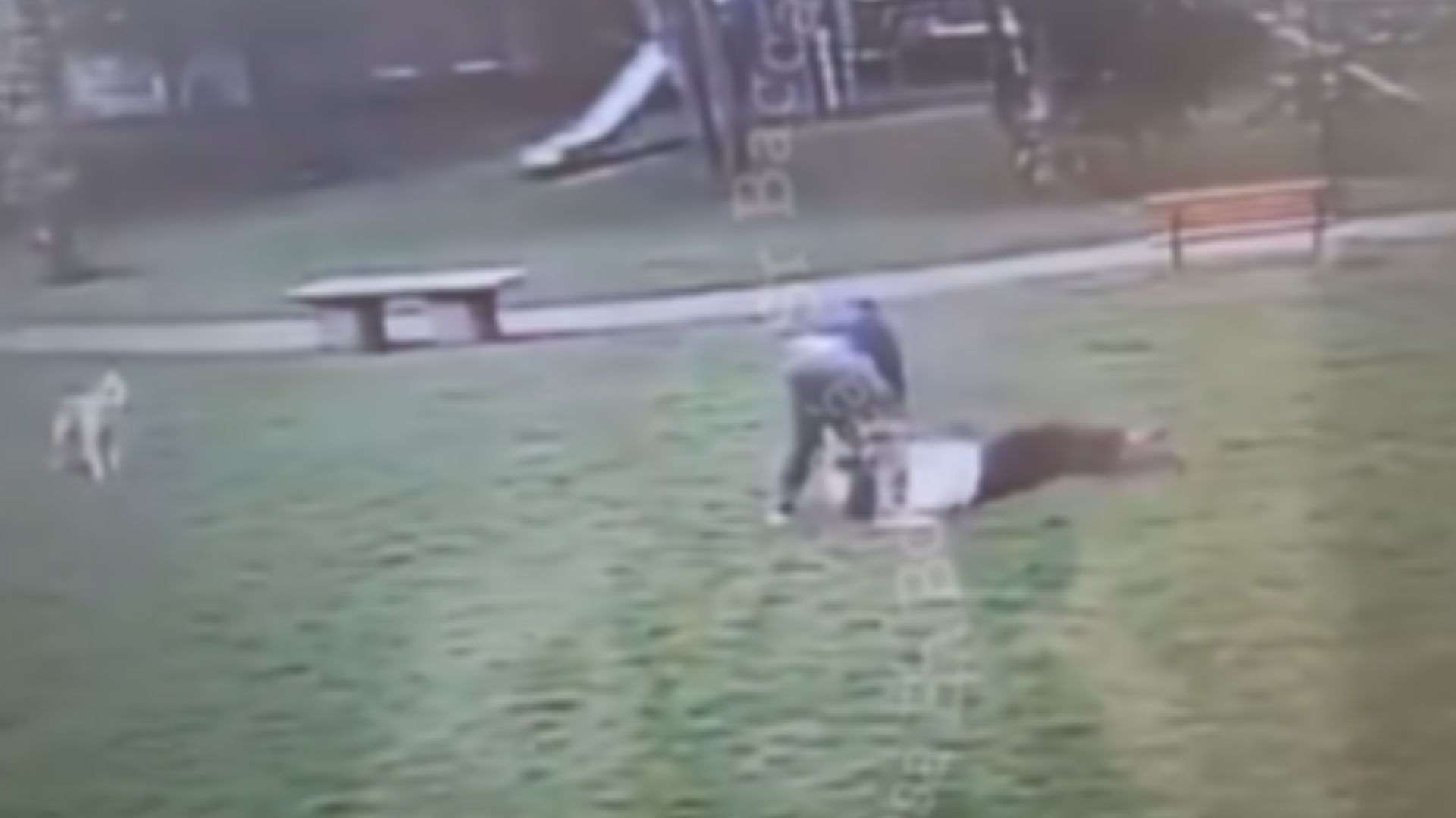 Hombre golpeó a una mujer y a su perro tras acercarse al suyo en Suba, Bogotá