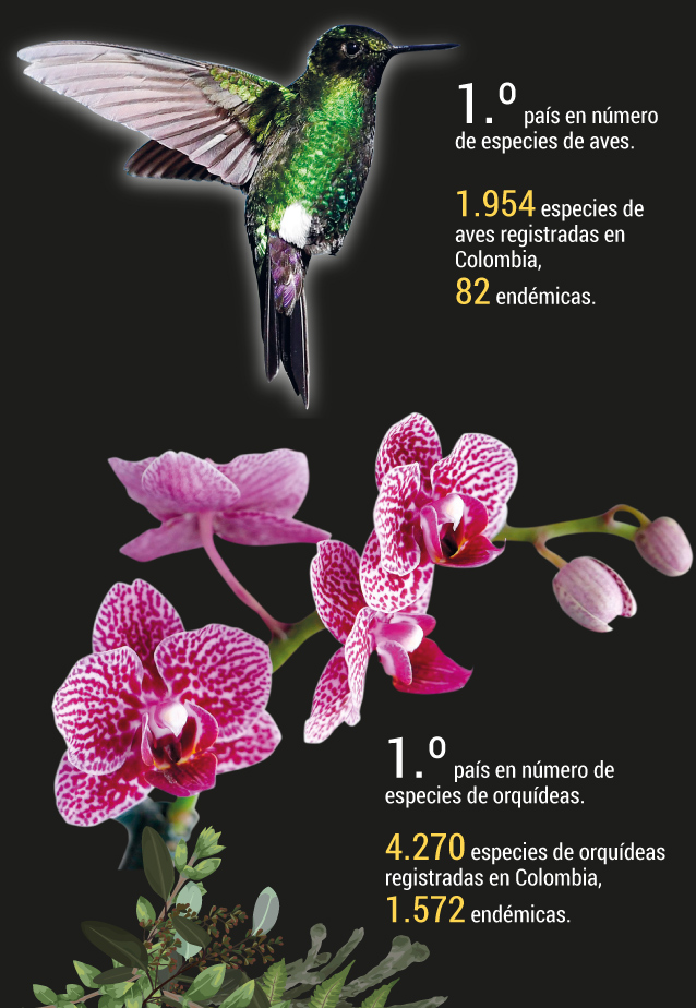 Colombia, destino ecoturístico por naturaleza.