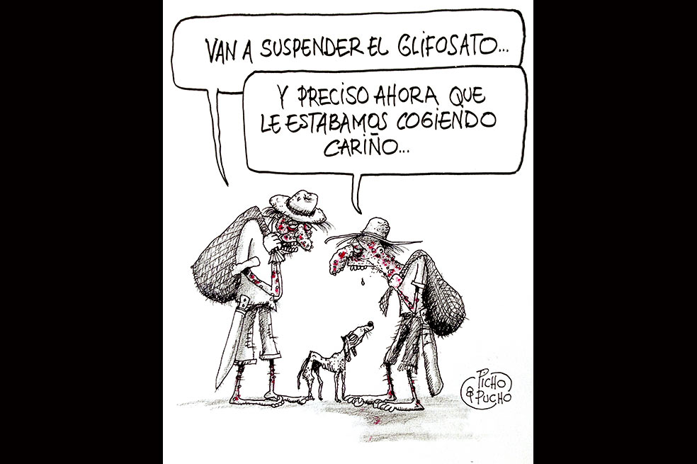 Picho y Pucho