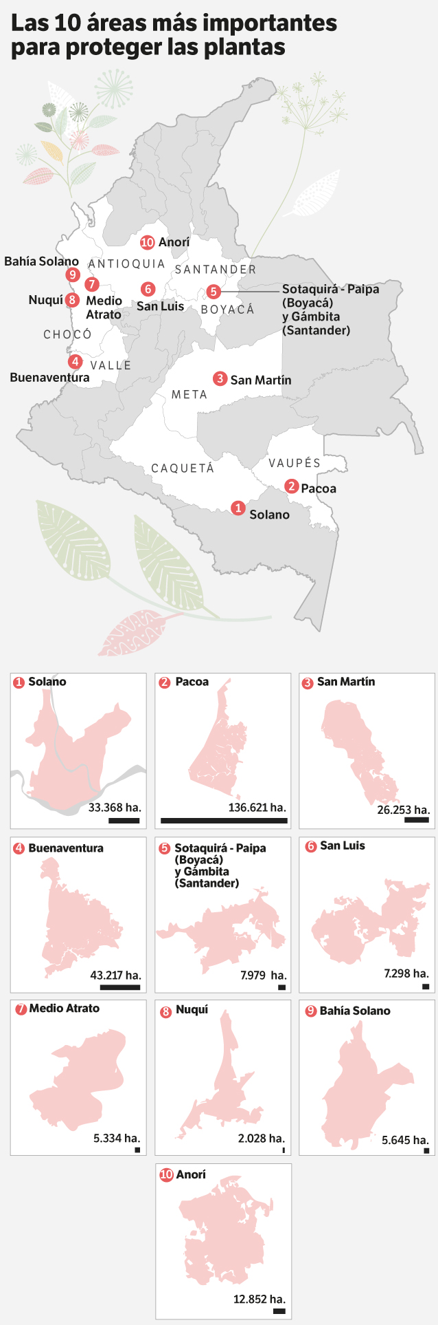 Plantas útiles