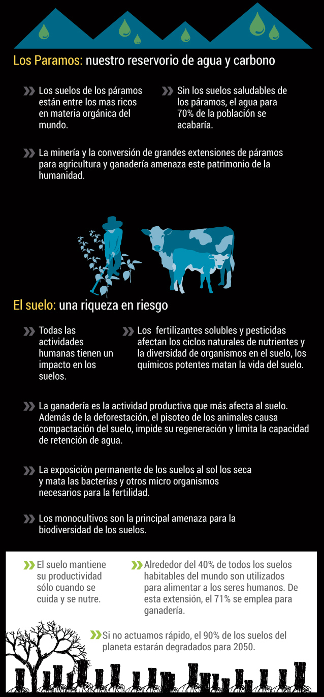 Día Mundial del Suelo 2020