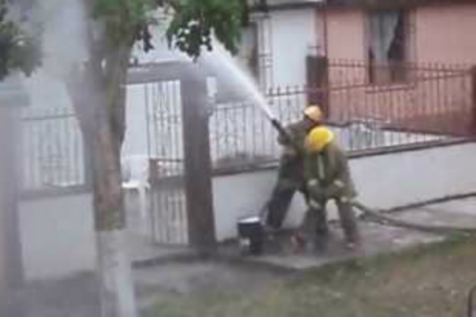 Abejas causan emergencia en Bogotá al picar a 12 personas