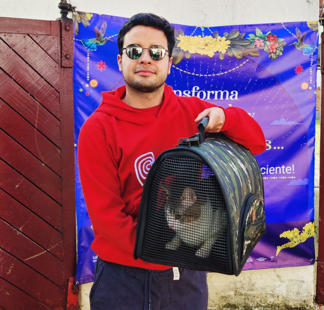 Para la adopción de gatos es obligatorio llevar un guacal para su transporte hasta su nuevo hogar.