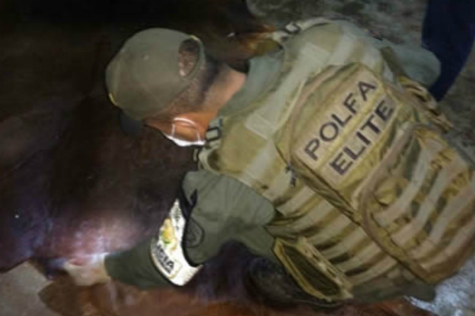 / Policía