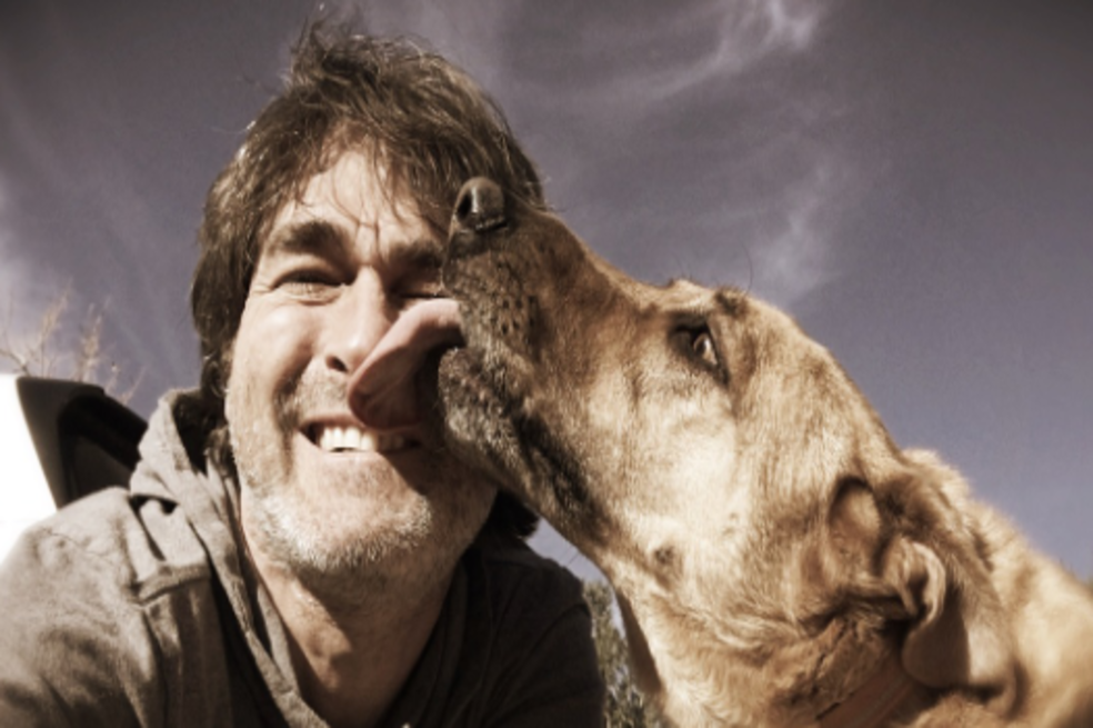 ¿Es malo que mi perro me lama la cara?