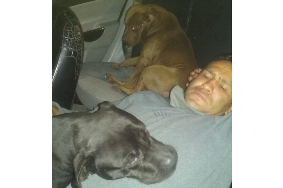 Reclamos de la dueña de un pitbull que perdió a su mascota por disparo de un policía