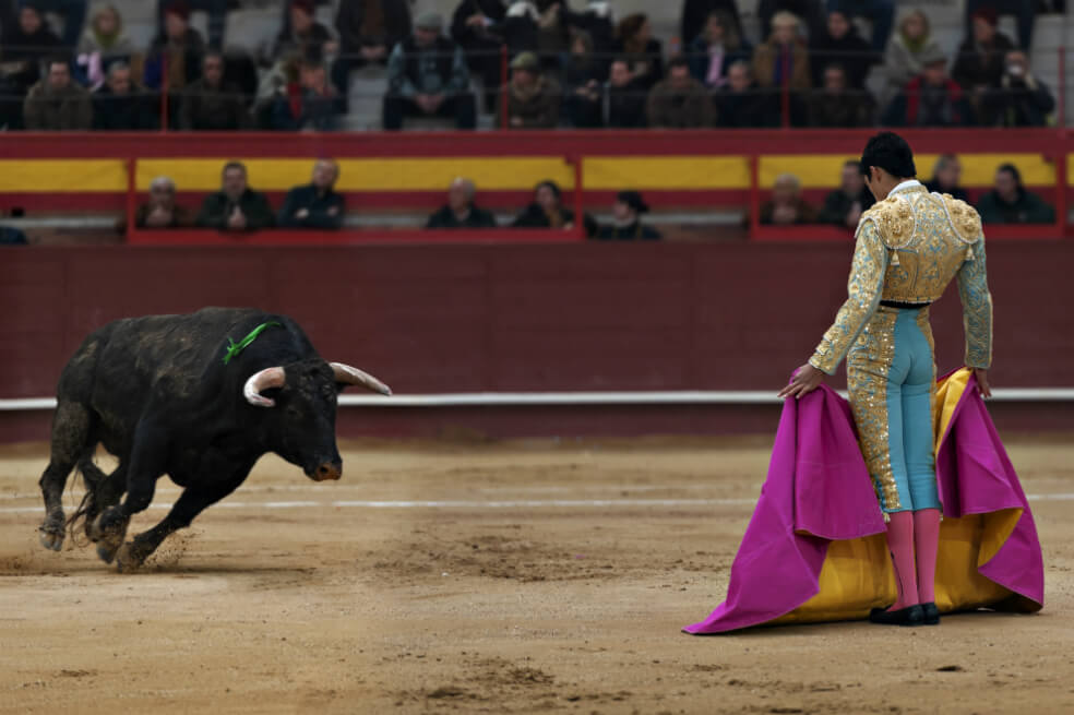 Los animales al derecho, hay que proteger sus intereses