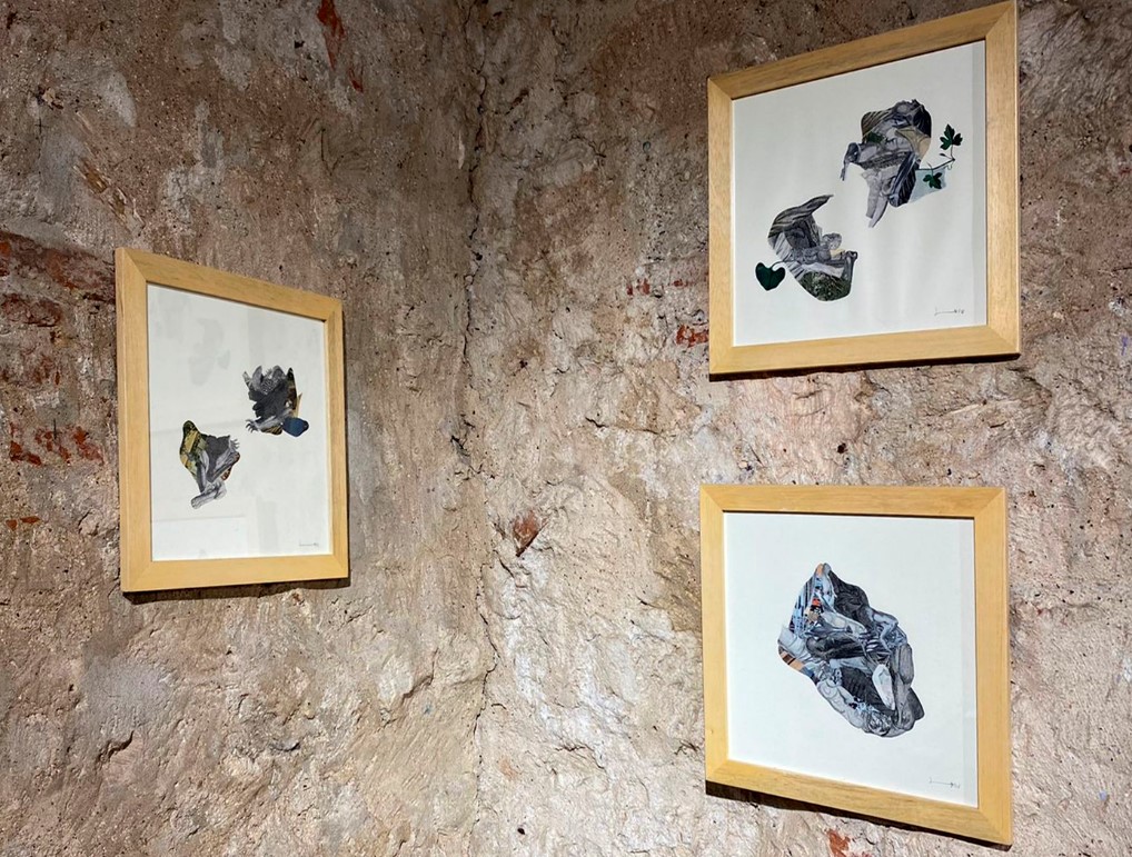 Galería Mercuria: “buscamos fortalecer a Cartagena como epicentro del arte”