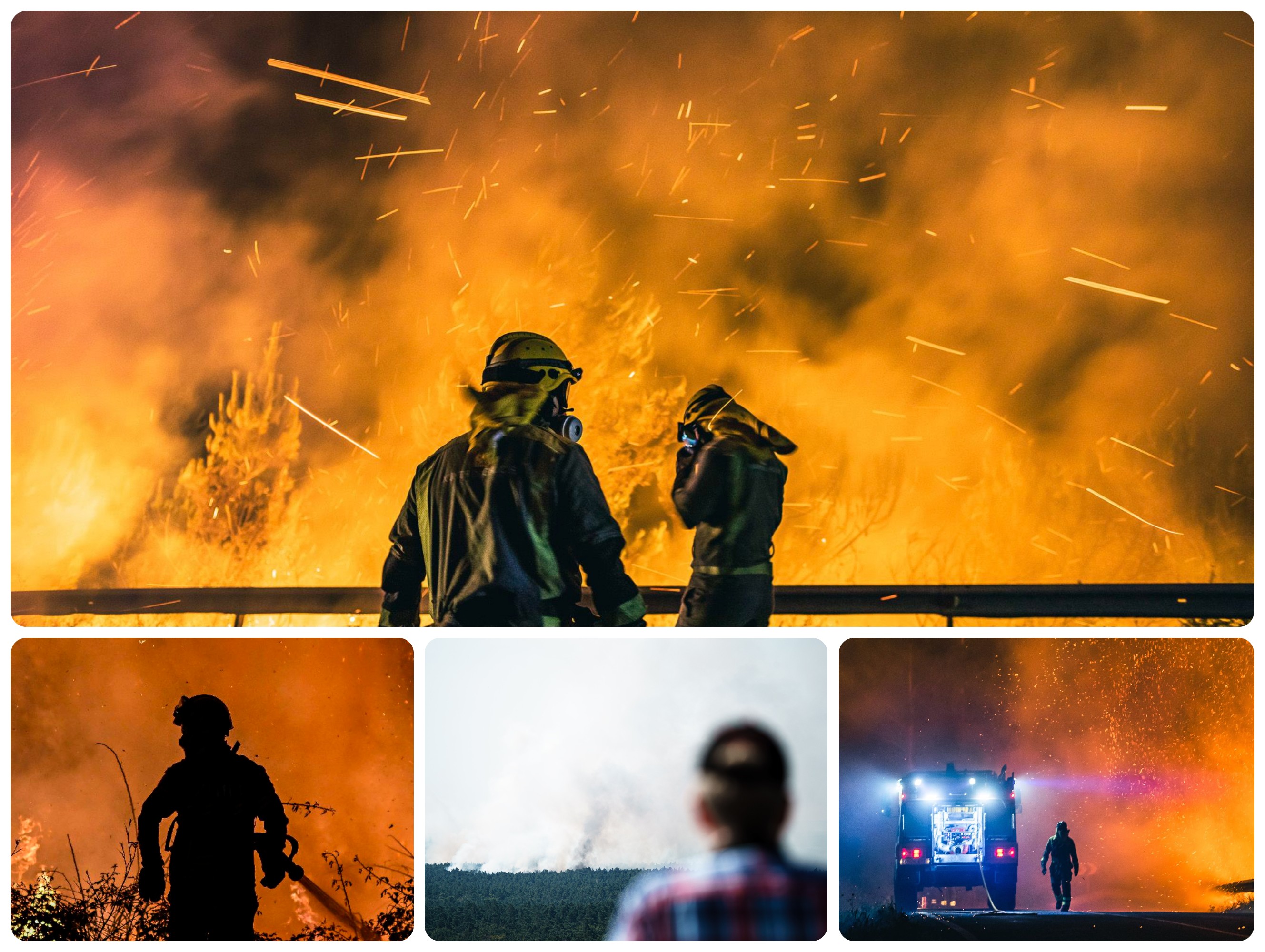 España, Portugal, Alemania, Canadá y Estados Unidos son algunos de los países en los que se han presentado incendios forestales.