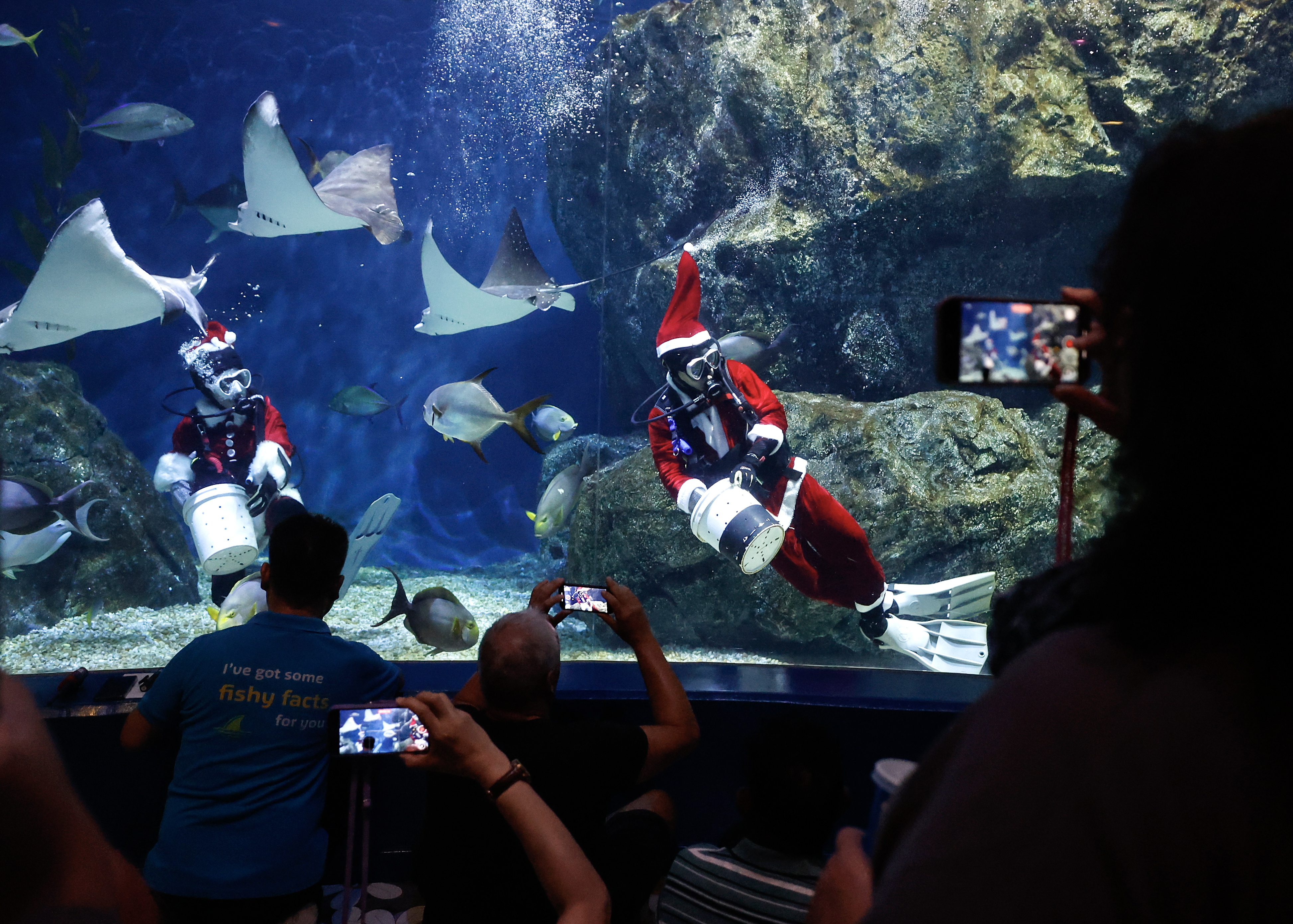 Bangkok (Thailand), 20/12/2024.- Divers dressed as Santa Claus feed the fish during a special seasonal performance to celebrate the upcoming Christmas holiday at Sea Life Bangkok Ocean World aquarium in Bangkok, Thailand, 20 December 2024. The Santa diver, an event as part of the aquarium's program to attract tourists and celebrate the Christmas season in Thailand, runs until 25 December 2024. (Tailandia) EFE/EPA/NARONG SANGNAK