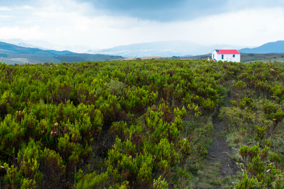 Viaje a la última casa de Bogotá