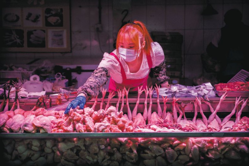 La pandemia es un síntoma, no la enfermedad
