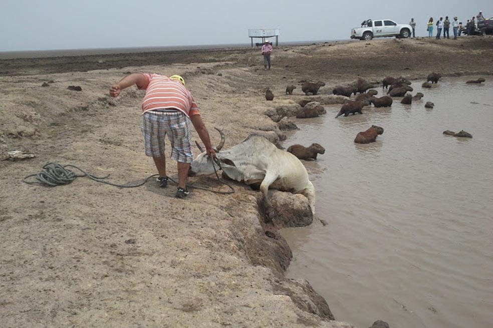 Insisten en que petroleras no tienen que ver con sequía en Casanare