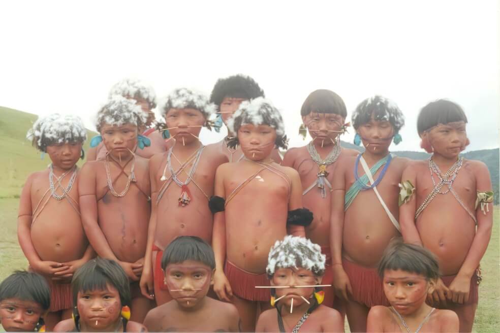 Primeras muertes indígenas de la Amazonia prenden alarmas en Brasil
