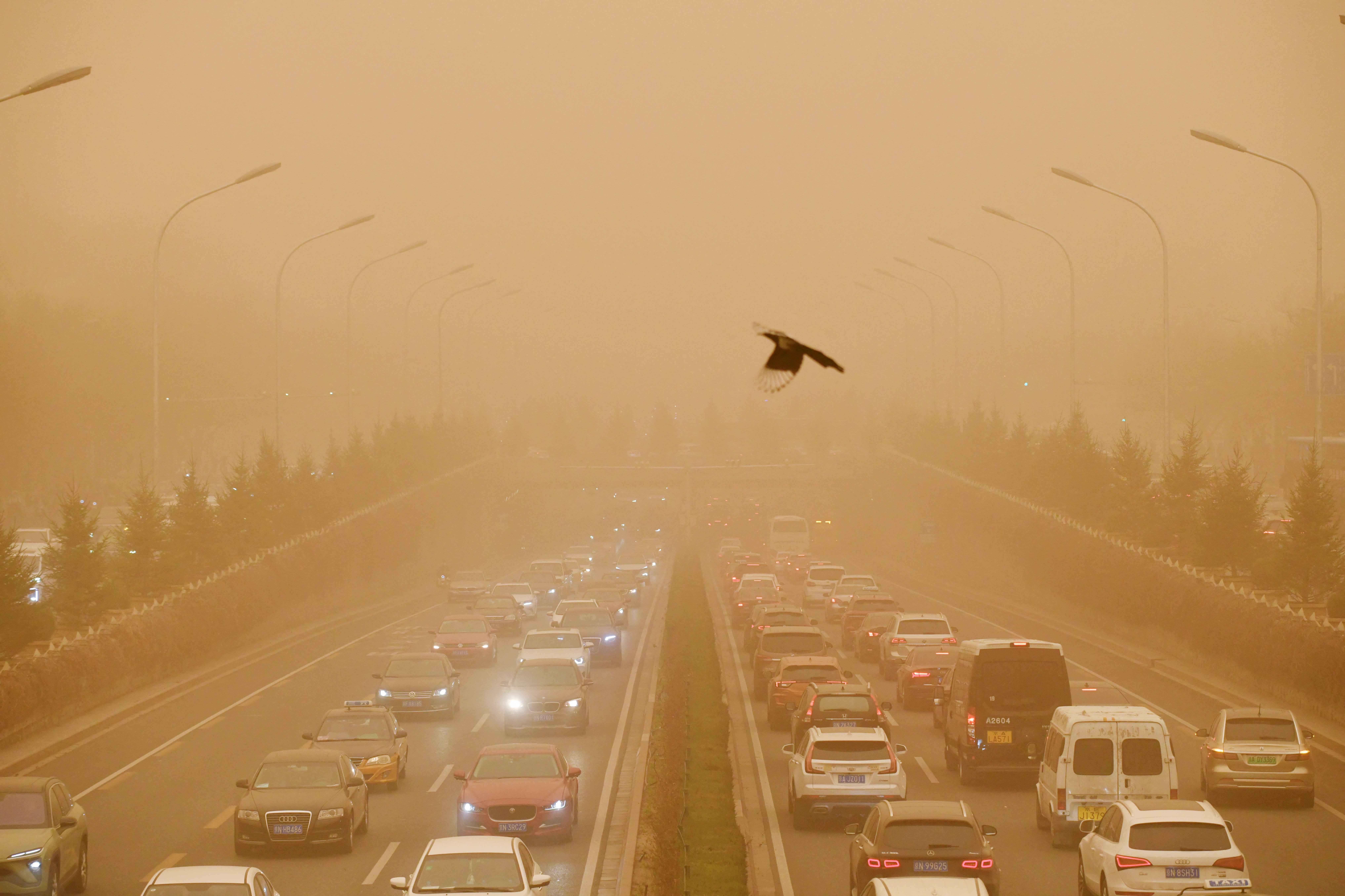 Cantidad de polvo en el aire se redujo en el mundo en 2023: informe de la OMM