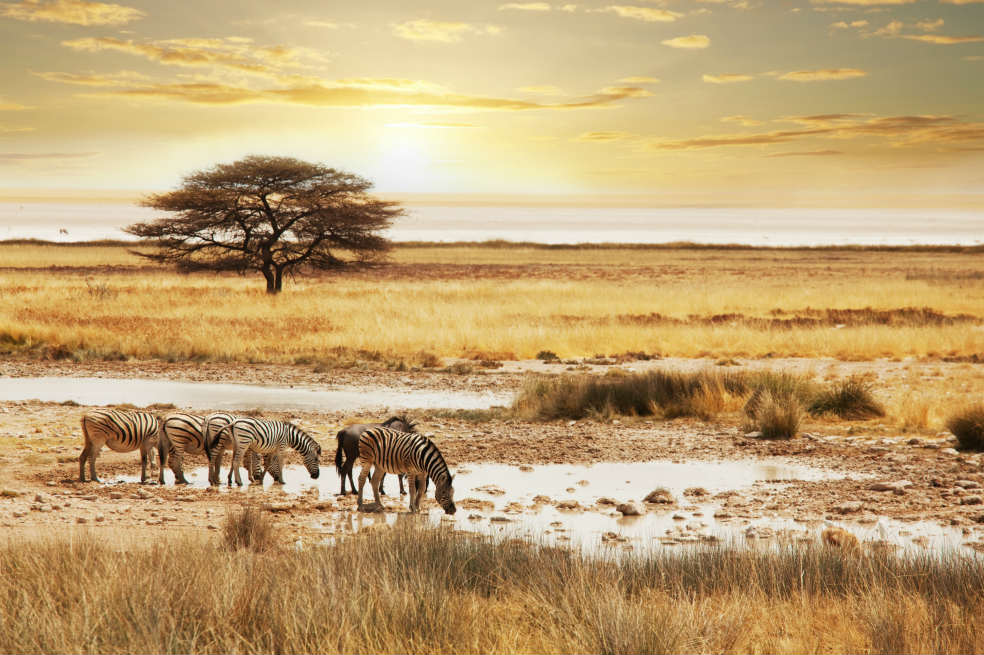 África, tierra inhóspita y aventurera