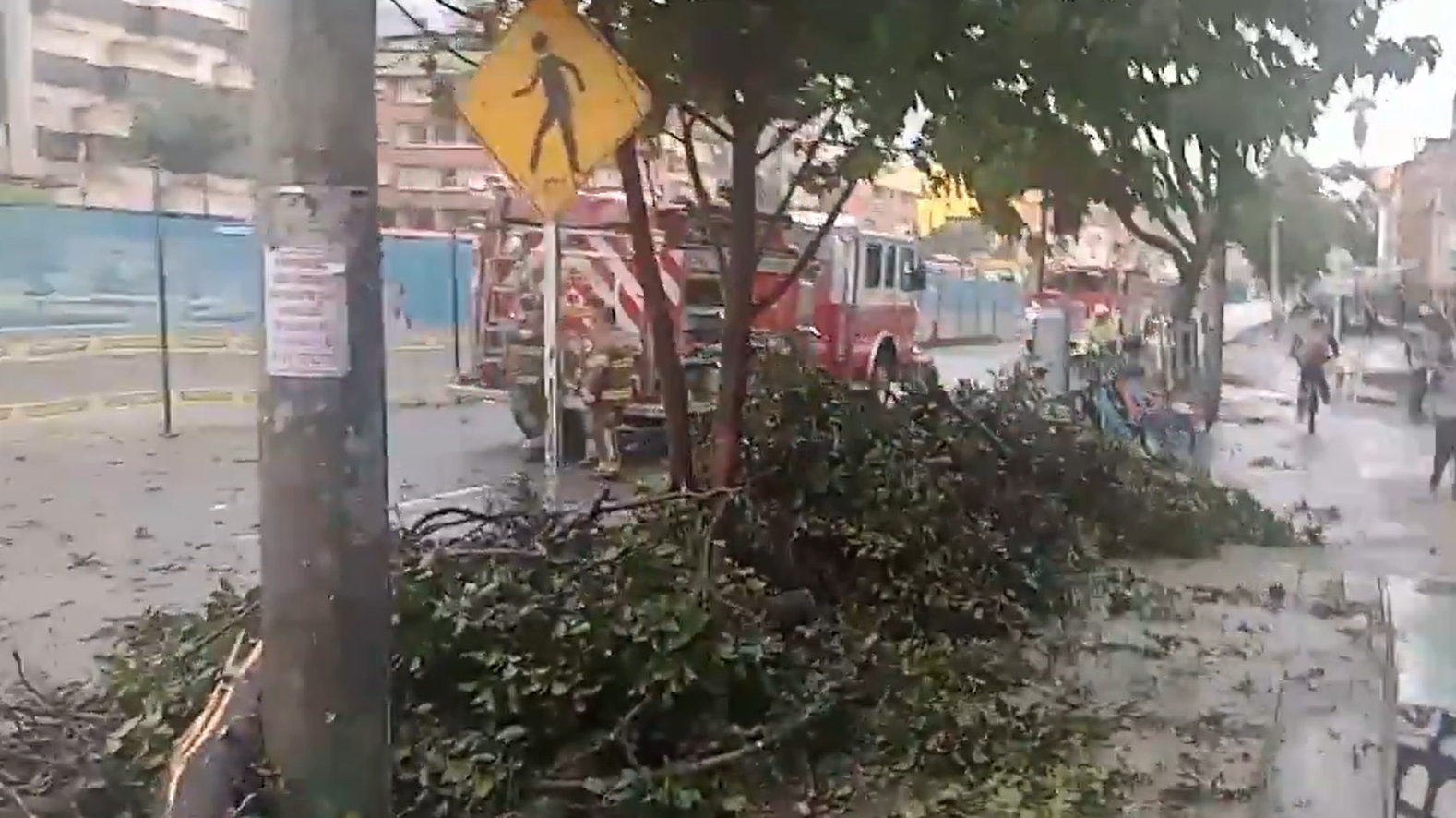Movilidad hoy: retiran árbol de la Av. Caracas y se recupera lentamente la movilidad en TM
