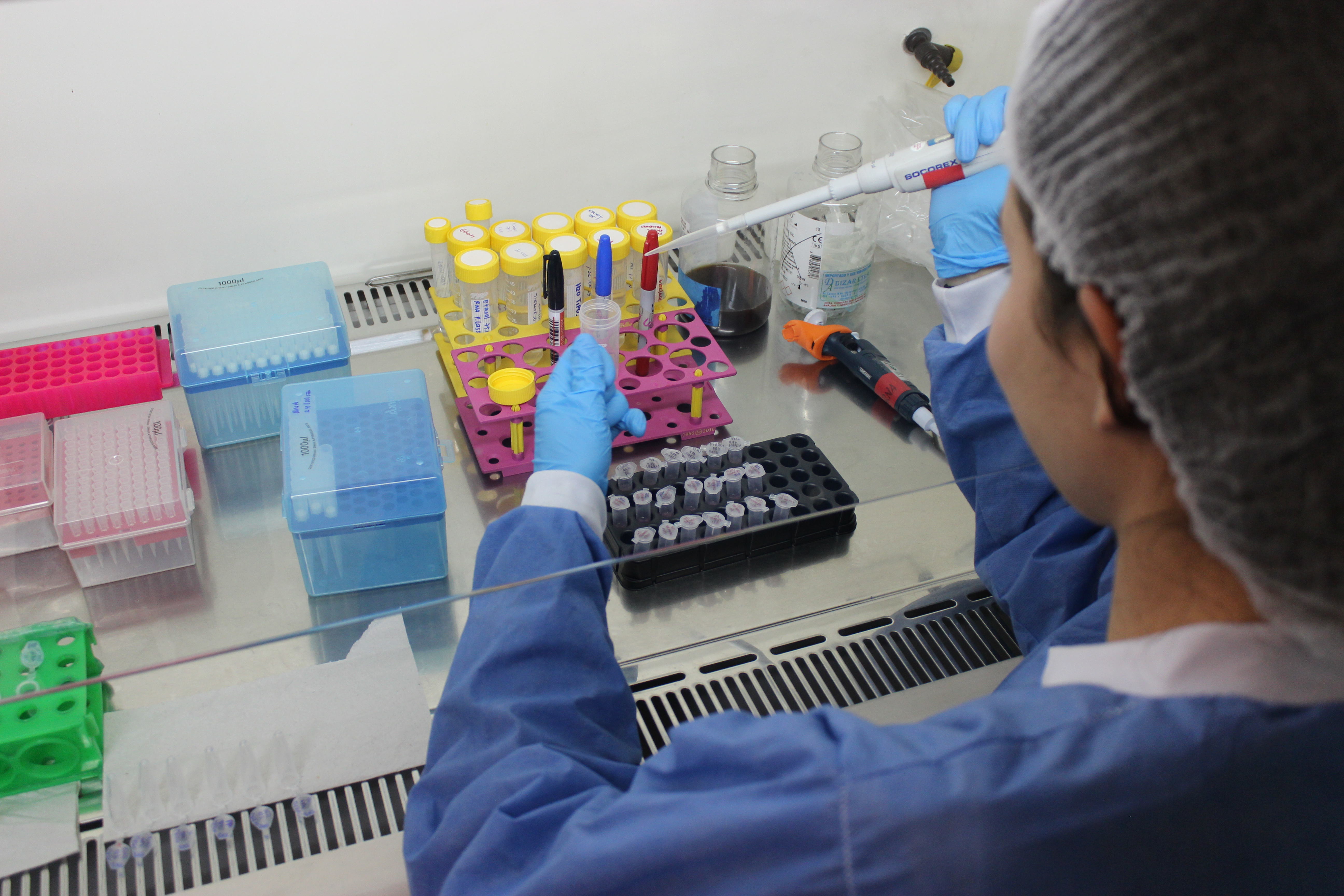 En la búsqueda de nuevos medicamentos a partir de plantas