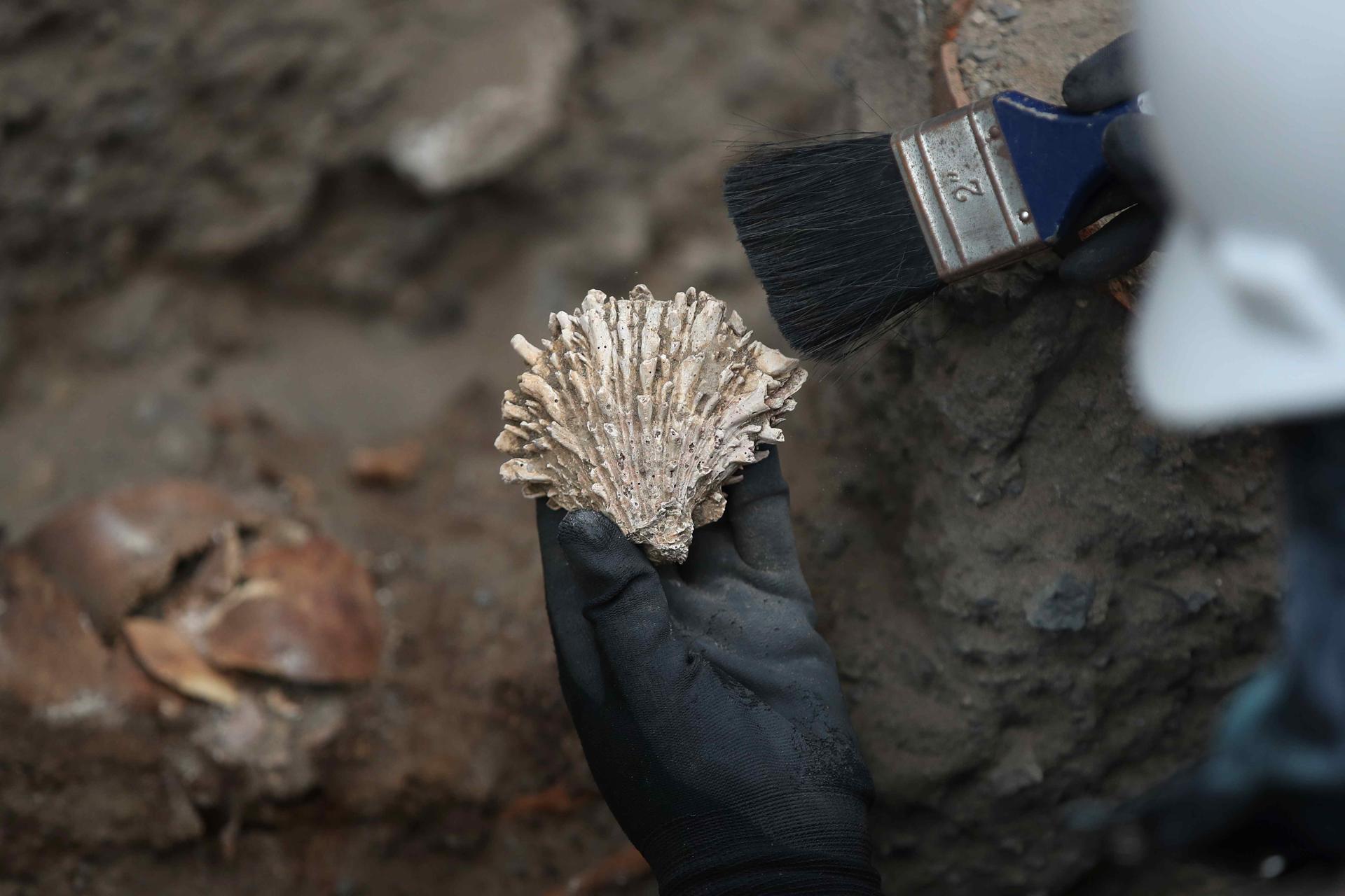 FOTODELDÍA AME5783. LIMA (PERÚ), 03/09/2025.- Una persona limpia una pieza antigua este miércoles, en Lima (Perú). Hasta cinco entierros entierros de entre 800 y 2.000 años de antigüedad fueron hallados de manera fortuita durante unas obras de ampliación de la red de gas natural en Lima, que sigue hallando vestigios de las culturas y sociedades del Antiguo Perú. EFE/ Paolo Aguilar
