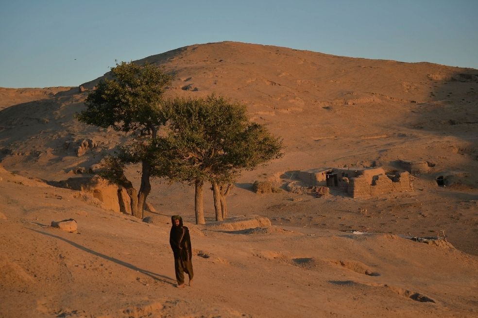 La mayor parte de estos nuevos “migrantes climáticos” desplazados por los incendios forestales se restablecen relativamente cerca de su domicilio anterior.