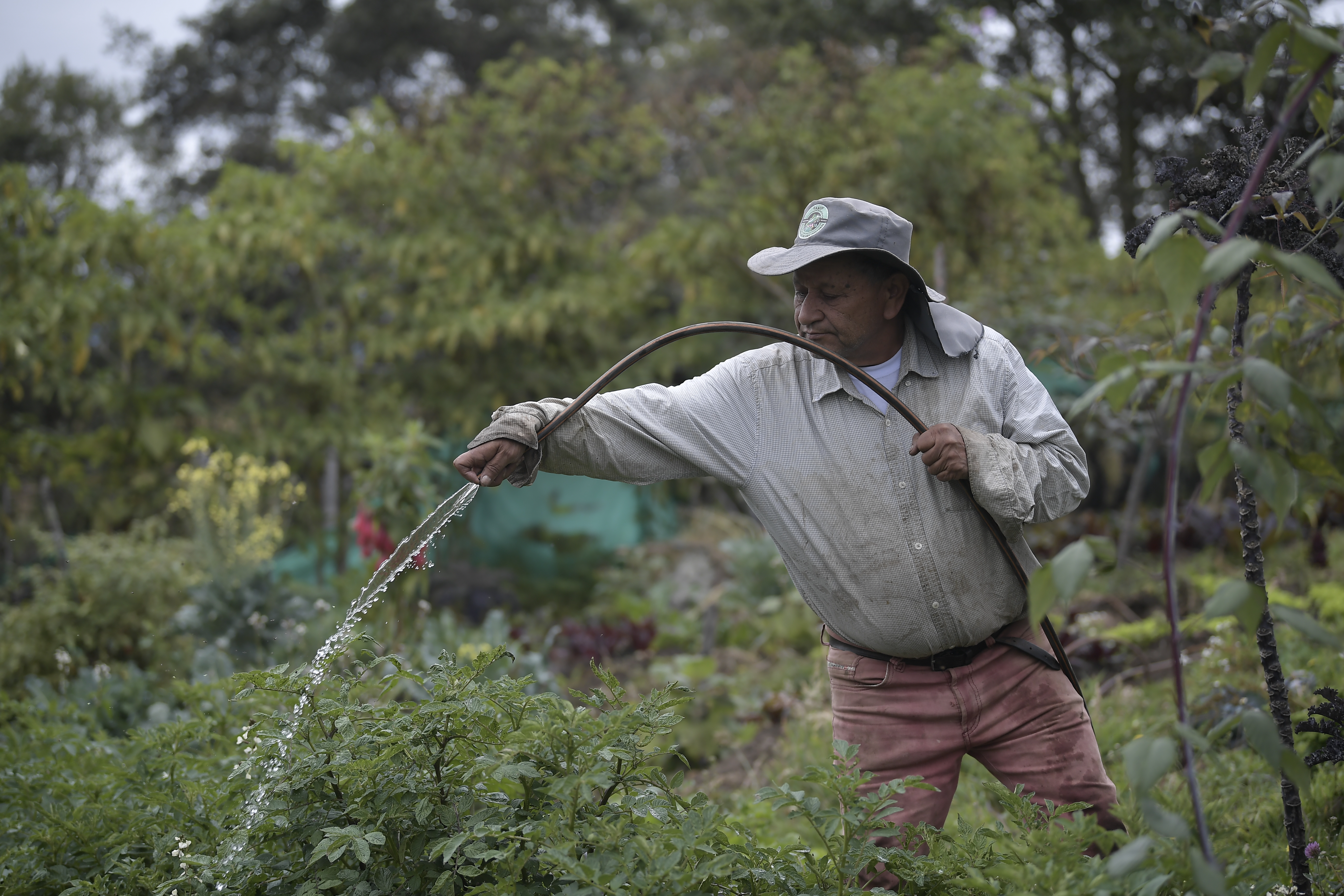 Los COP 44 billones que impulsan la productividad del campo colombiano