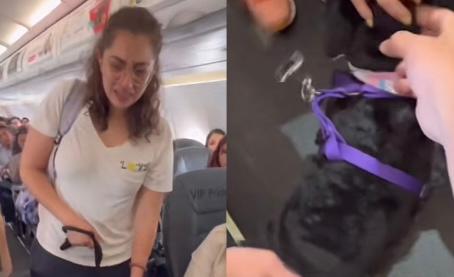 Video: bajan a mujer de un avión porque su perro de apoyo emocional no tenía bozal