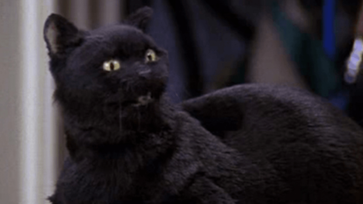 Salem Saberhagen es un personaje ficticio de la serie de cómics estadounidense Sabrina the Teenage Witch propiedad de Archie Comics. Él es un gato americano de pelo corto que vive con Sabrina, Hilda y Zelda Spellman en el poblado ficticio Greendale, ubicado cerca de Riverdale. Apareció por primera vez junto a Sabrina en Archie's Mad House #22 en 1962, y fue creado por George Gladir y Dan DeCarlo.