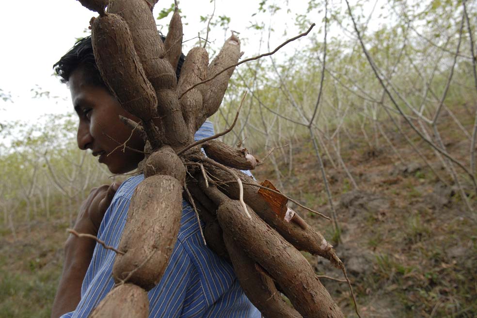 En el camino de la transformación agraria