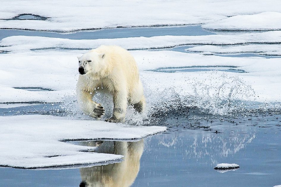 Red global de noticias sobre cambio climático