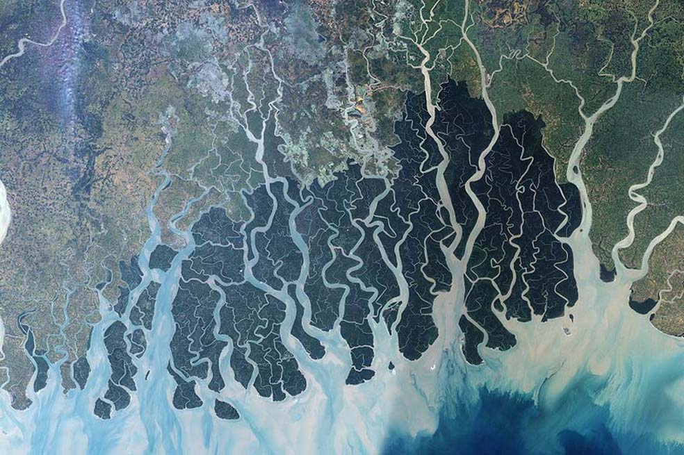 Imagen satelital del delta de Sundarbans (Bangladesh), el bosque de manglar más grande del mundo. / Nasa