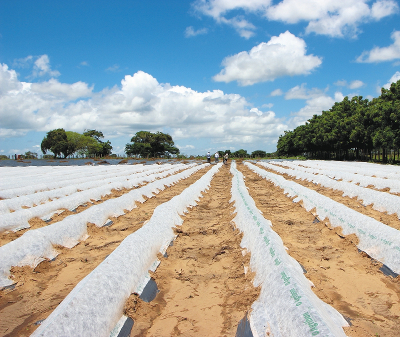 Trabajar la tierra para reconciliarse con el territorio