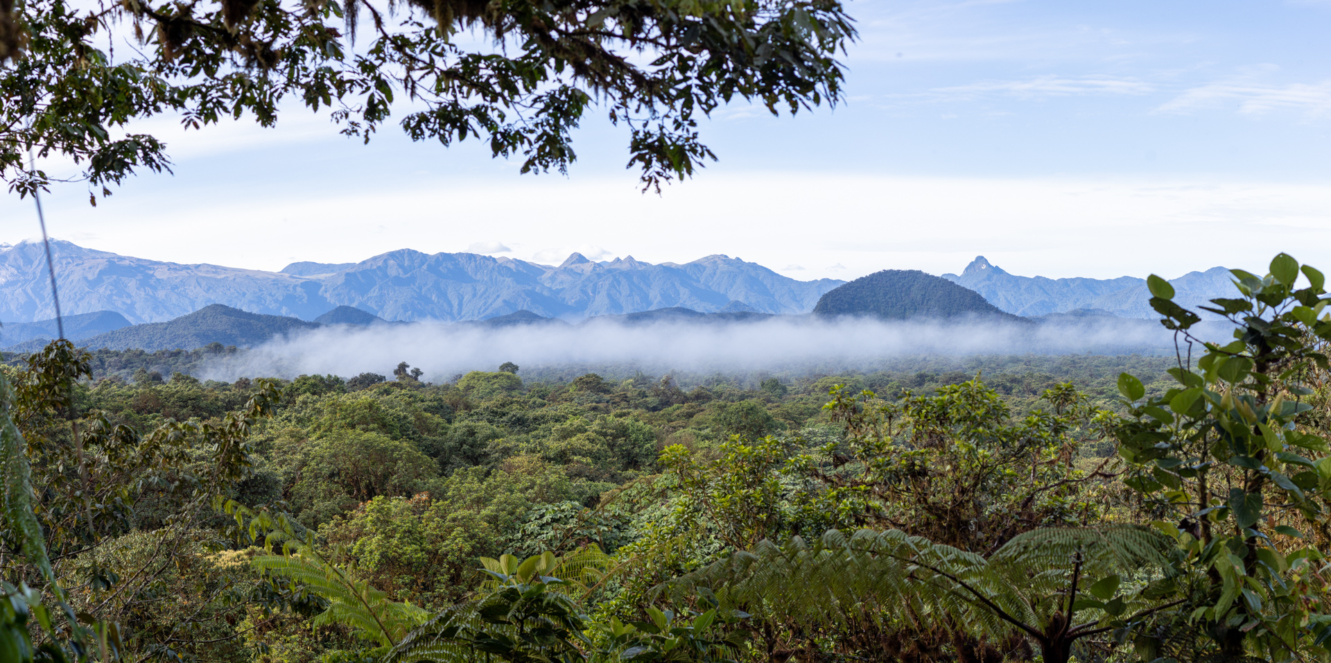 El tesoro natural de Ricaurte, Nariño, que le apuesta al turismo científico